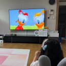 player pc | 월팸 CD DVD 리핑 방법 총정리 ㅣ 귀찮지만 한 번만 하면 진짜 편해요 (장비, 프로그램, 과정)