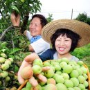 김연화농장 이미지