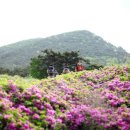 양림목장 이미지