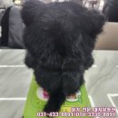 팡팡뽑기방 이미지