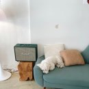 오브시에개포
