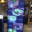 평촌학원가 에듀학원 앞 | 육즙팡팡 숯불닭갈비 맛집, 팔각도 평촌학원가점