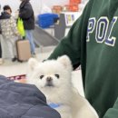 보리정식당 이미지