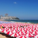 해운대 - 남구 삼산로395번길 9 | 해운대