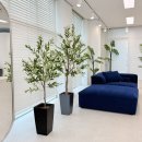 나무와흙한의원 이미지