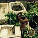 너구리의 피난처 이미지