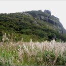 철구소펜션 이미지