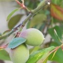 이레축산2 이미지