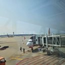 2711 | 발리 항공권 제주항공 B737-800 기내면세점 에어카페