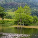 산천초목 이미지