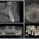 뉴욕디지털치과의원 이미지