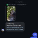 2025🐍시작