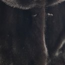 세탁쟁이 이미지