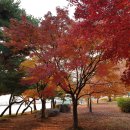 강남종로엠독학기숙학원 | 입시 재도전 강남종로엠 대입재수기숙학원