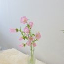 신월동177 이미지