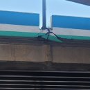 동운고가 이미지