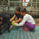 우리황토집민박 이미지