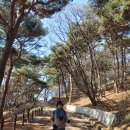 남한산성(유네스코지정) 성곽돌기 종주 이미지