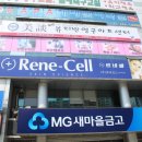네일미담