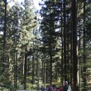 분향초등학교 이미지