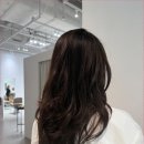 스타미용실 - 삼척시 | 스타미용실