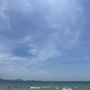 안녕하세요 김가토응우옌입니다 : 베트남편