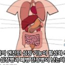 오늘은 횡격막을 들고 견갑골이 맞닿을 정도로 유지하는 날 이는 내가 나에게 매일 하는 말이다. 이미지