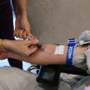 정정형외과의원 | 향동동 정형외과, 어깨 주사치료 효과 없었다면? -현직 정형외과 전문의 작성