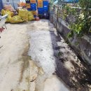 일창산업 2공장 | 🏭 [성주 공장 마당 폐기물 처리 후기] 목재폐기물 대량정리까지 완벽해결! | 에이스정리