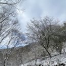 힐 별빛 글램핑 펜션 이미지