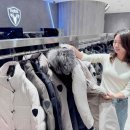 이미 이미지