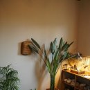 답다니언덕집 이미지