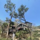 보얀트(Voyant) | 남양주 오남 브런치카페 보얀트 방문 후기