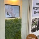 피부정원 이미지