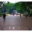 하이드파크 이미지