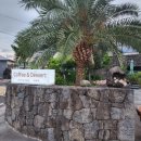 제주 애월 라꾸르 풀빌라 펜션 이미지