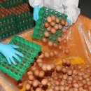 음성농장 이미지