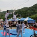 용인대 원 태권도장 이미지