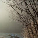 섬바위오토캠핑장 | 진안 용담댐 섬바위( 천년송) 물안개 낀 상고대 오토캠핑장