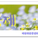 서경주유소 이미지