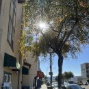 beach story | #26 미국 일상_ 어쩔수가없다_크럼블 쿠키_새우비스크로 파스타만들기