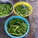 봉례농장 이미지