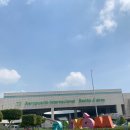 원지주유소 | 멕시코 라파즈 리브어보드 투어후기 2탄!! 멕시코 시티에서 원지타고 먹고 국내선-산 요세 카보 도착...