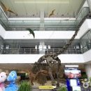 계룡산동학사스타 이미지