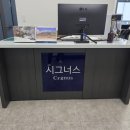 시그너스영어