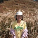 소답동019 이미지