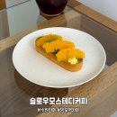 슬로우모스테디커피