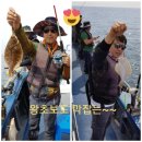 풍년참가자미