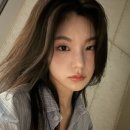 예지핏 이미지
