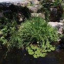 구릉(오성) 이미지